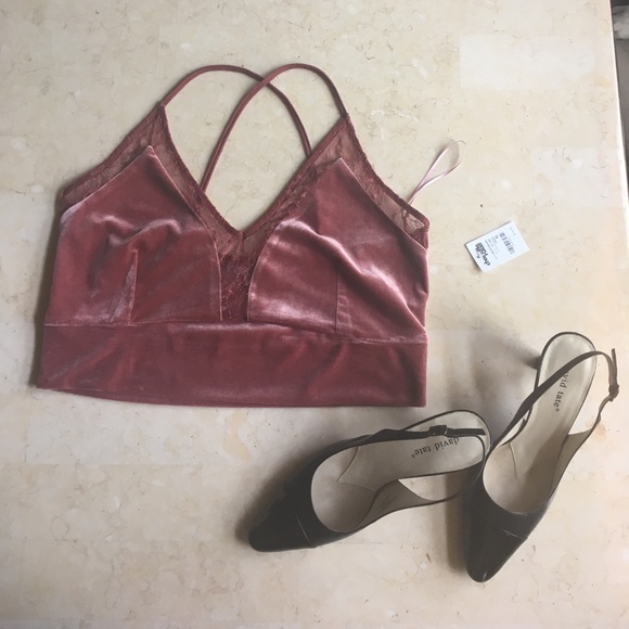 Charlotte Russe Tops - NWT Velvet Crop Top