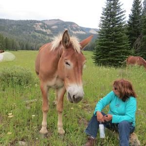 Meet your Posher, Melinda