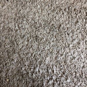 Meet your Posher, Jacqueline