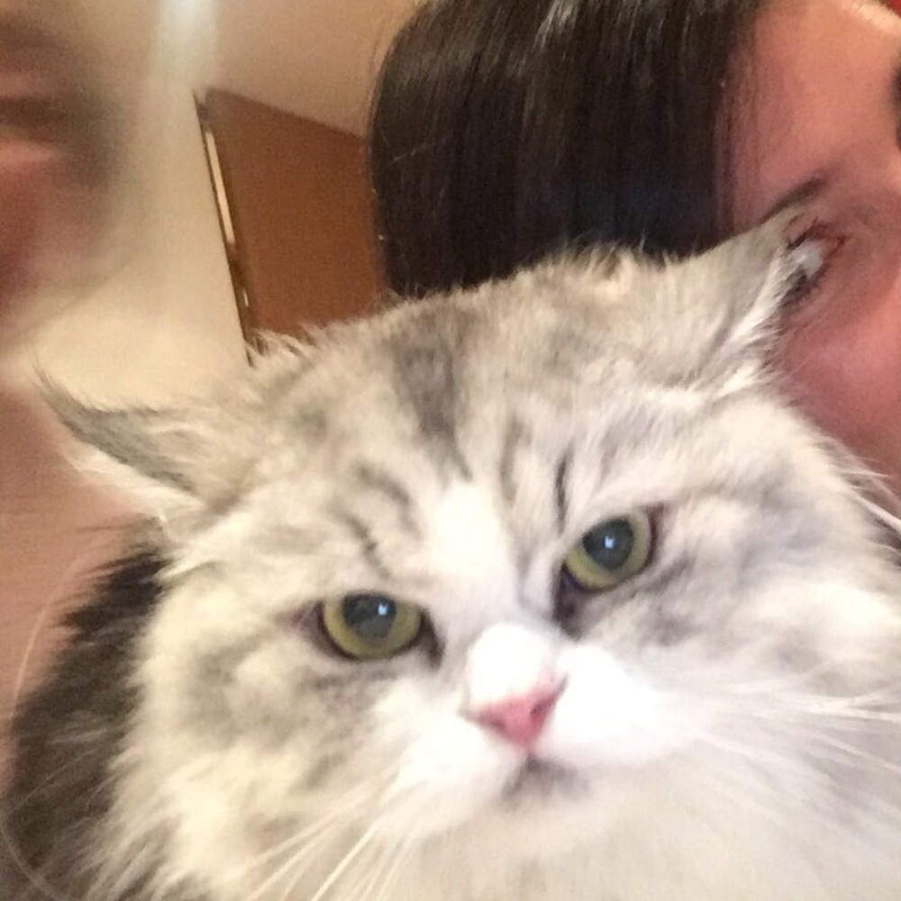 Meet your Posher, Mia