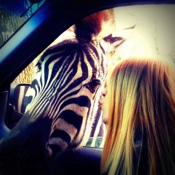 Meet your Posher, Kris - Picture 4 of 4