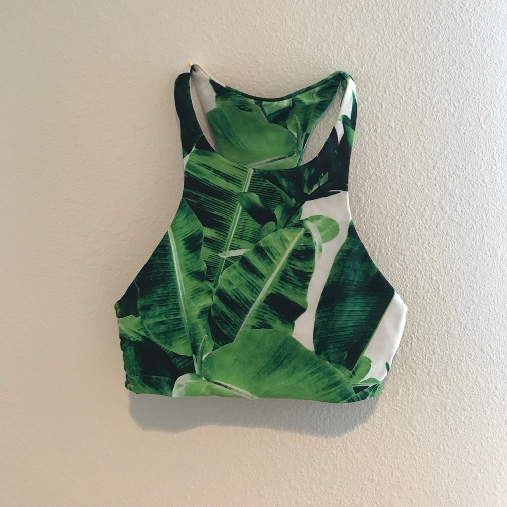 Stone fox swim