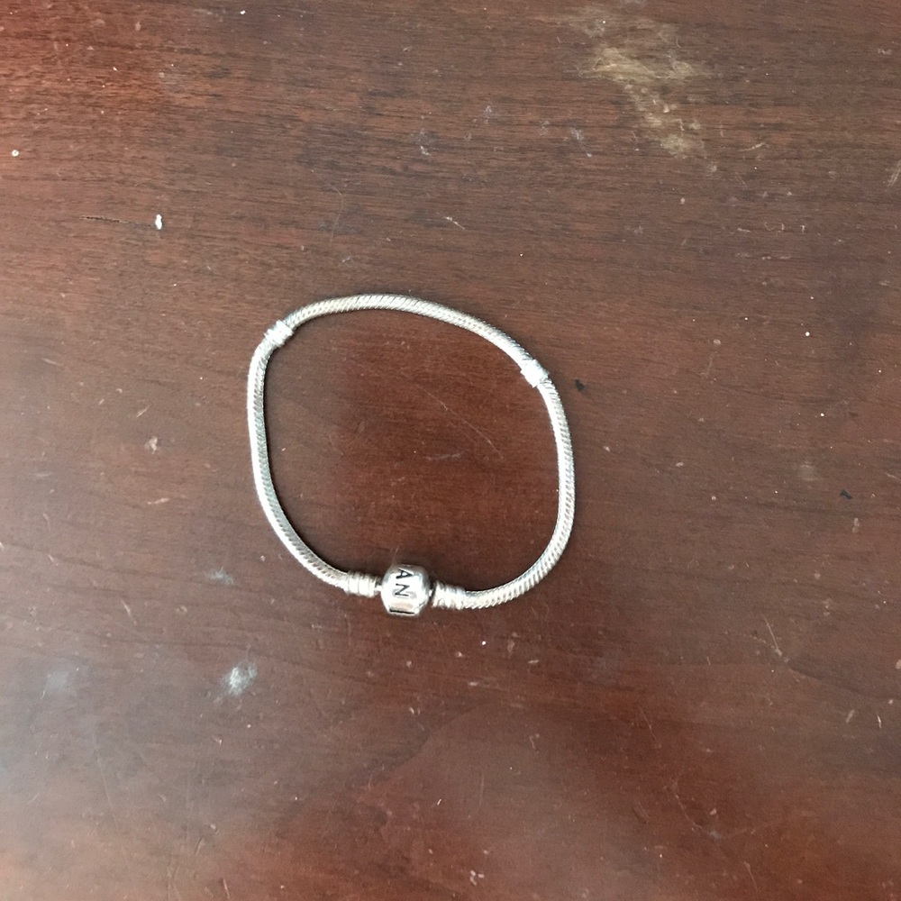 Pandora Iconic Silver Charm Bracelet