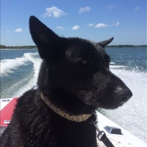 Meet your Posher, Vincent