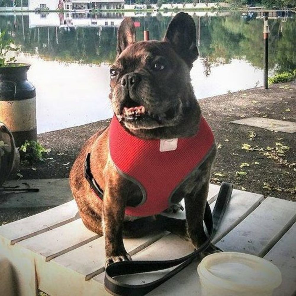 Meet your Posher, Nancy