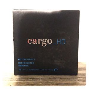 Cargo_HD Picture Perfect Highlighter in Bronze