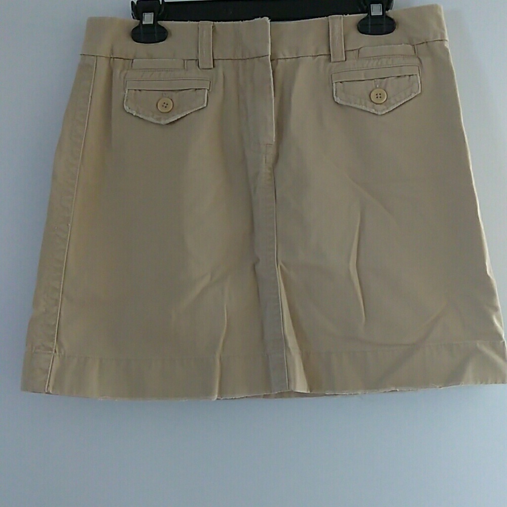 J.Crew skirt