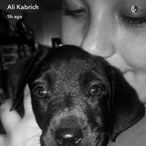 Meet your Posher, Sami