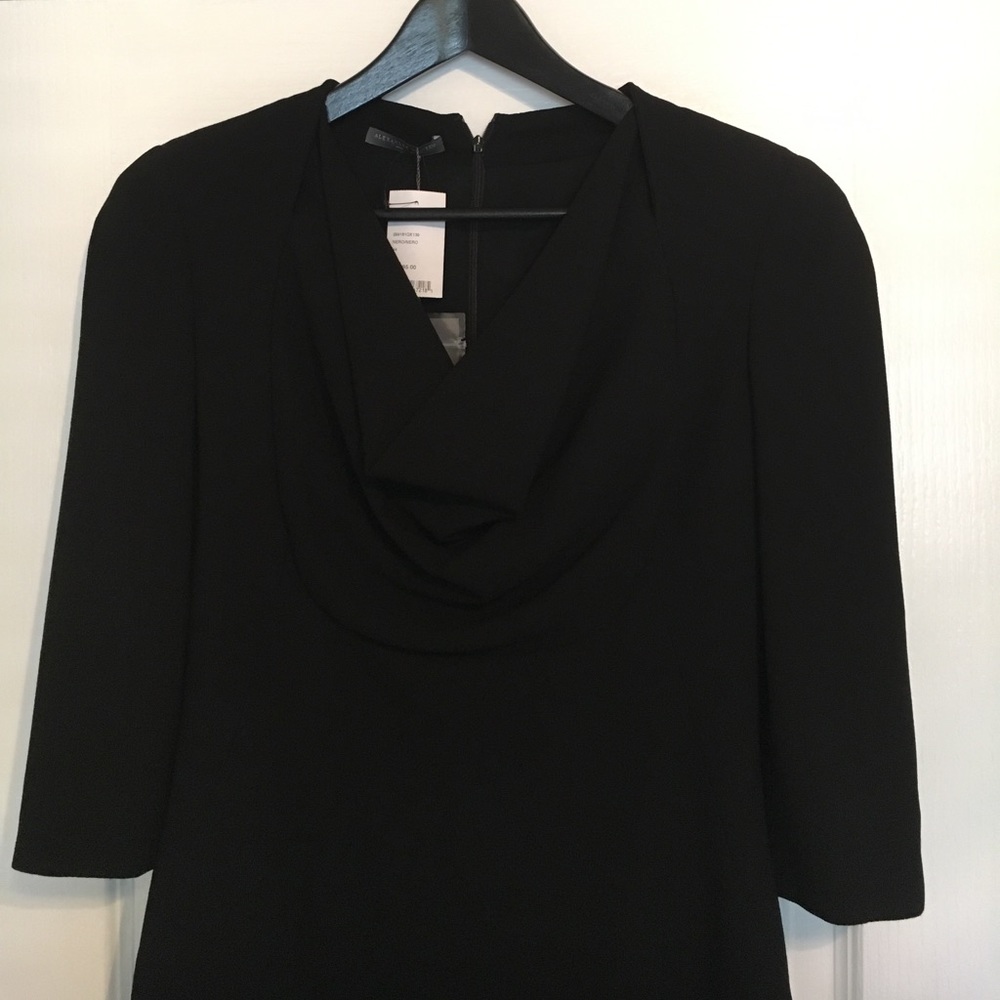 NWT Alexander McQueen Dress