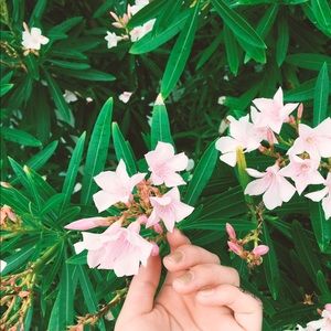 Meet your Posher, Bryann