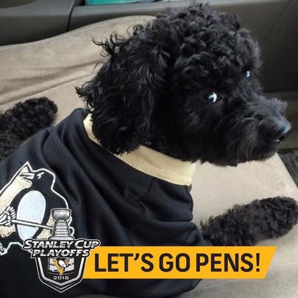 ❤️🐾🐩Meet your Posher, Sherry & Cami - Picture 2 of 2