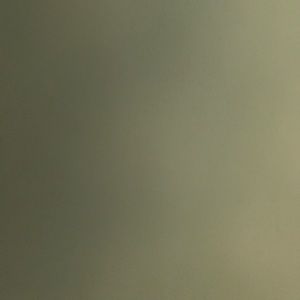 Meet your Posher, Matilda