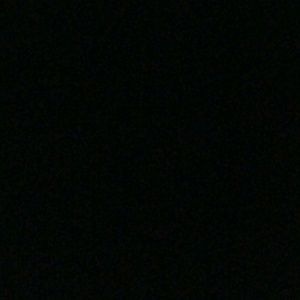 Meet your Posher, Jude