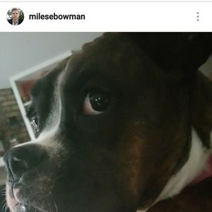 Meet your Posher, Miles