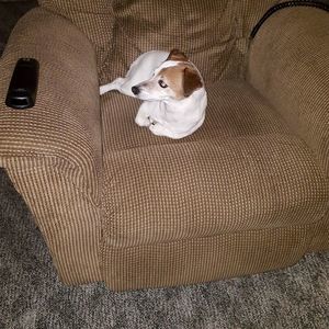 Meet your Posher, Gail