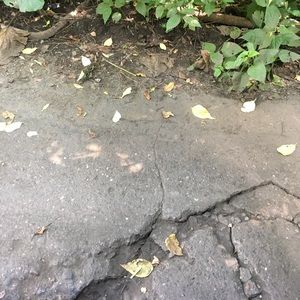 Meet your Posher, Deangelo