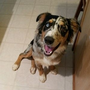 Meet your Posher, Jo