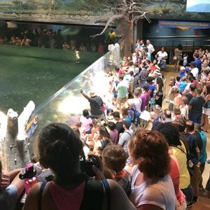 Meet your Posher, Jonathan