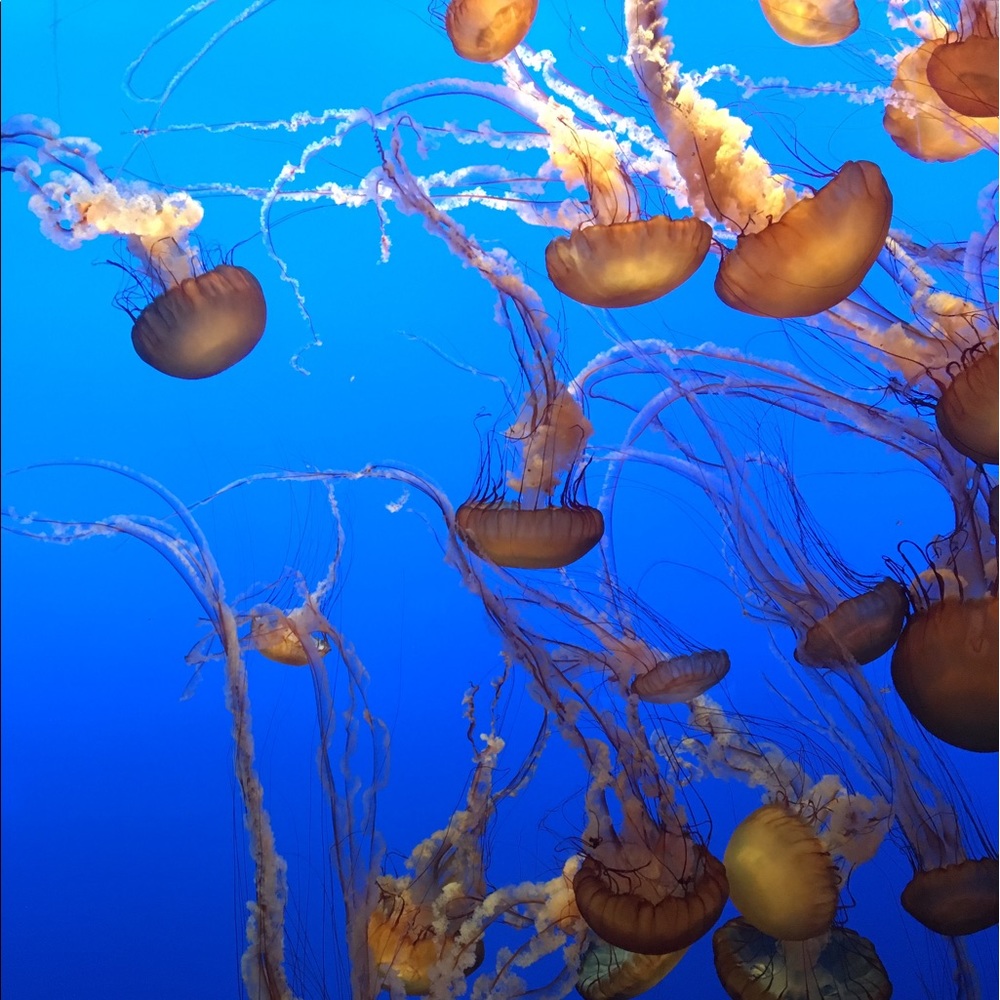 Meet your Posher, Haley