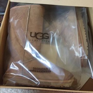 Brand new authentic uggs