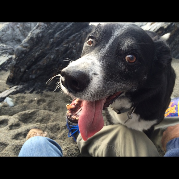 Meet your Posher, Audrey - Picture 1 of 1