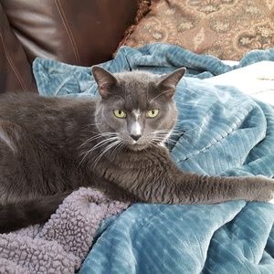 Meet your Posher, Shelley