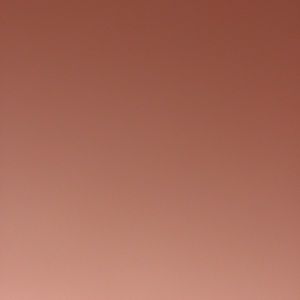 Meet your Posher, Jolie