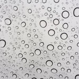 Meet your Posher, Camille