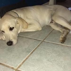 Meet your Posher, Joelle