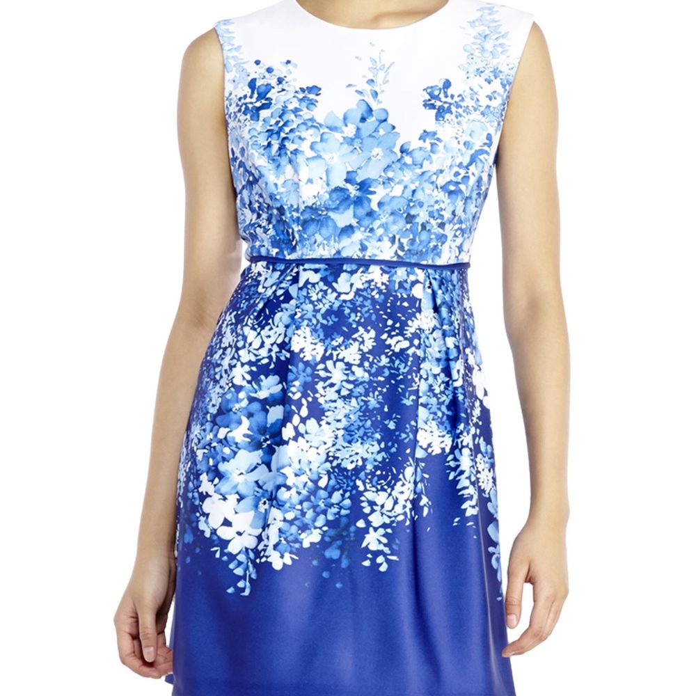 Sandra Darren Blue Floral Ombre Dress