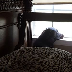 Meet your Posher, Maureen