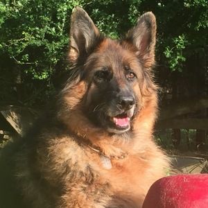 Meet your Posher, Jeff