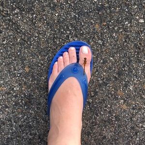 Meet your Posher, Jeannine