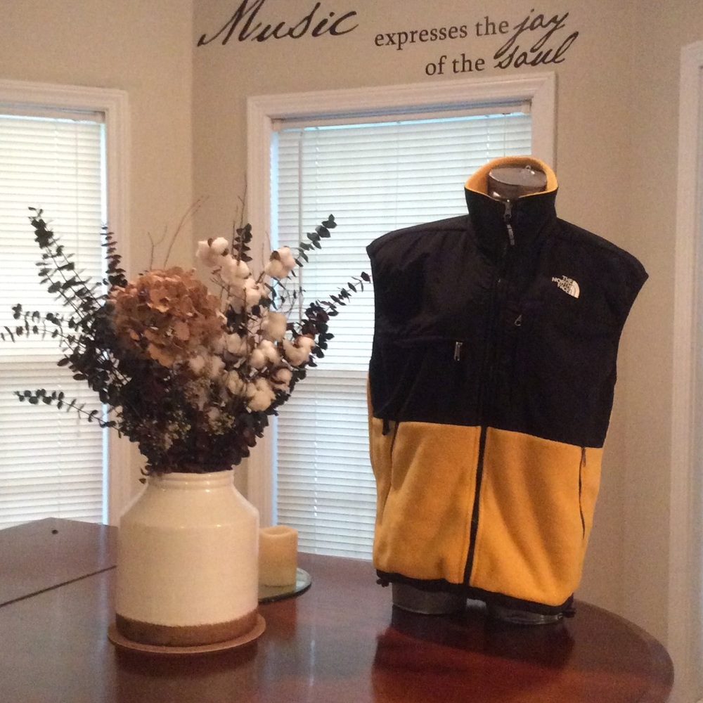 The North Face Denali Vest