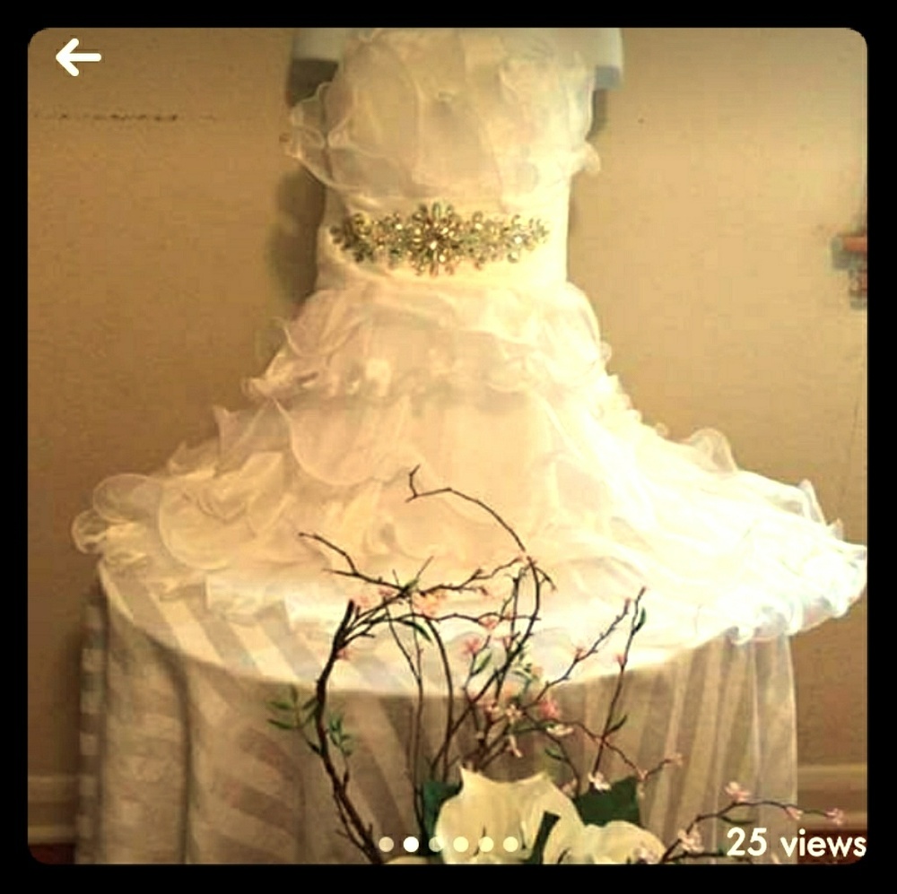 Cinderella Devine Formal