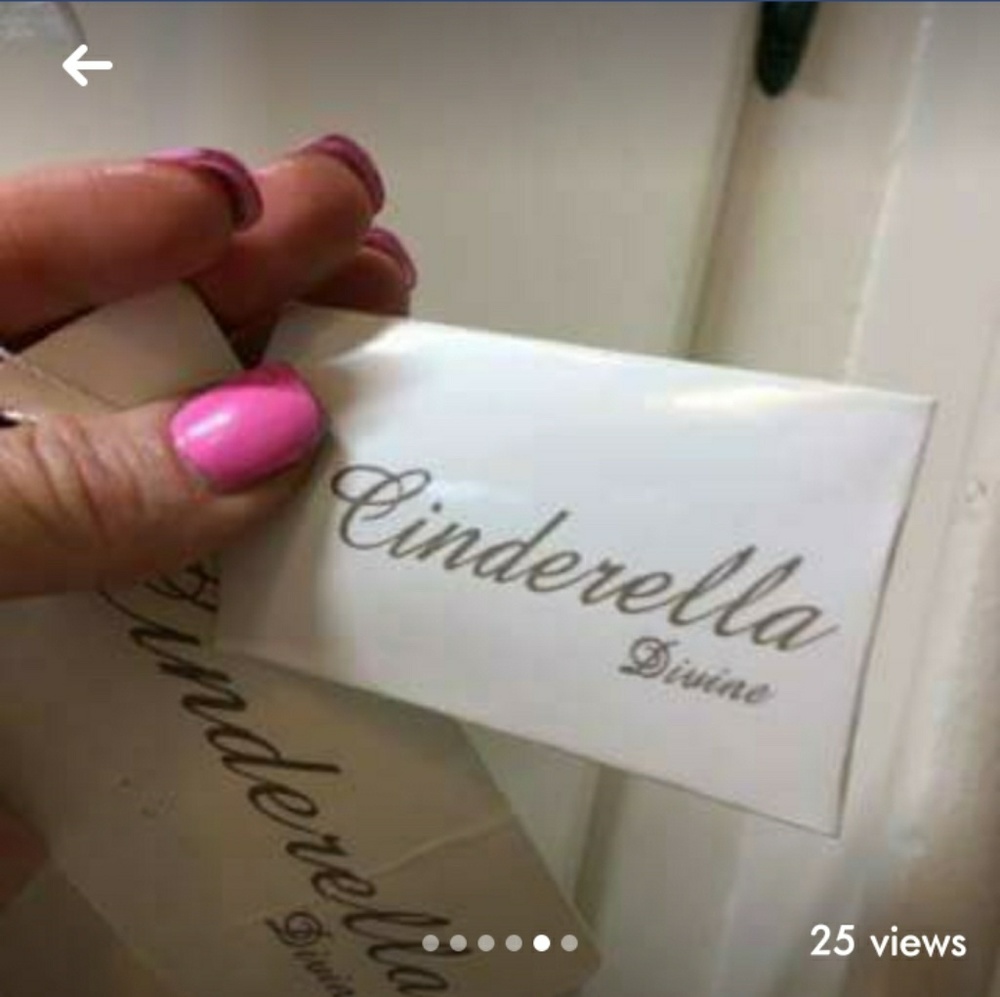 Cinderella Devine Formal - Picture 3 of 4
