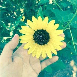 Meet your Posher, Daniela