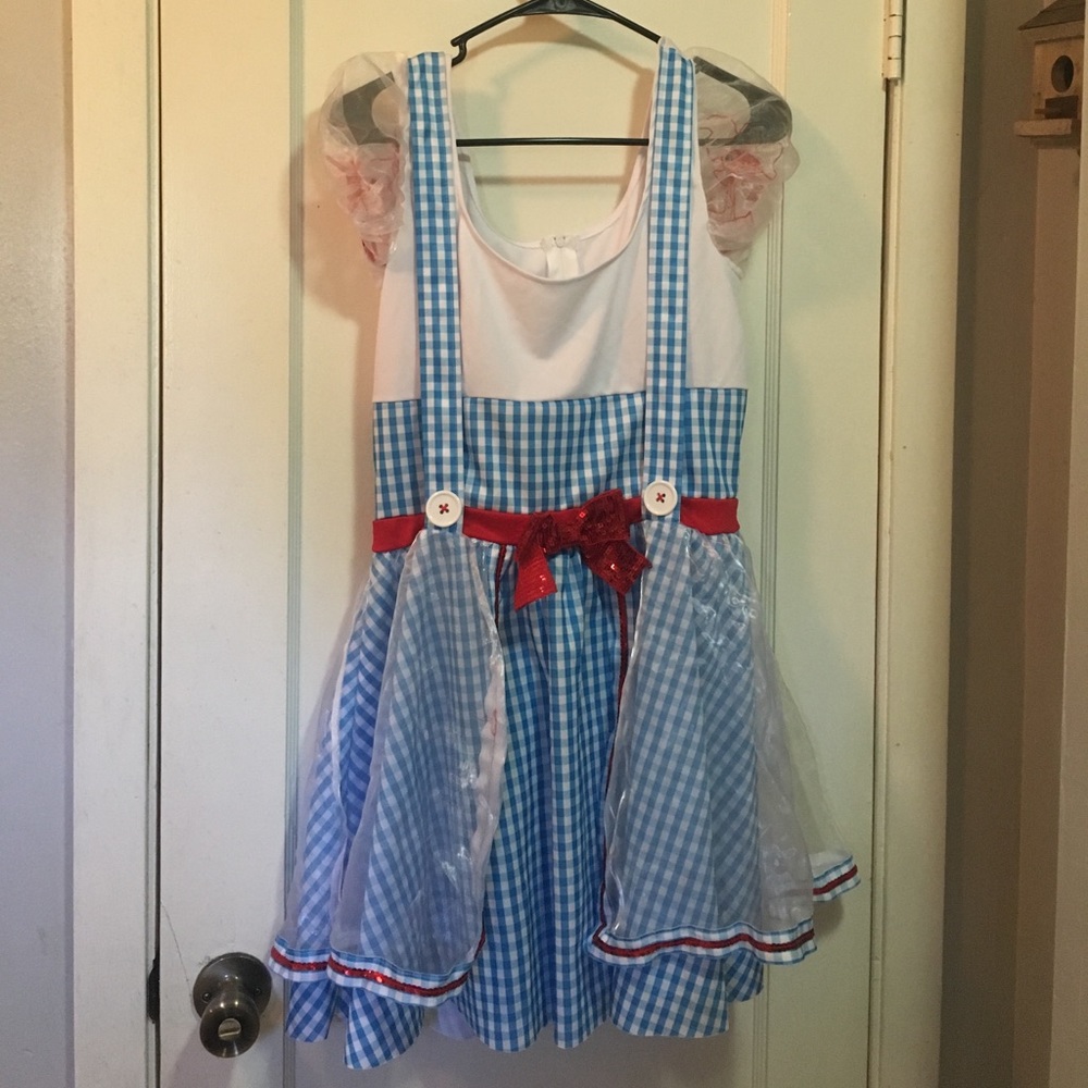 Dorothy Gale Wizard of Oz Costume