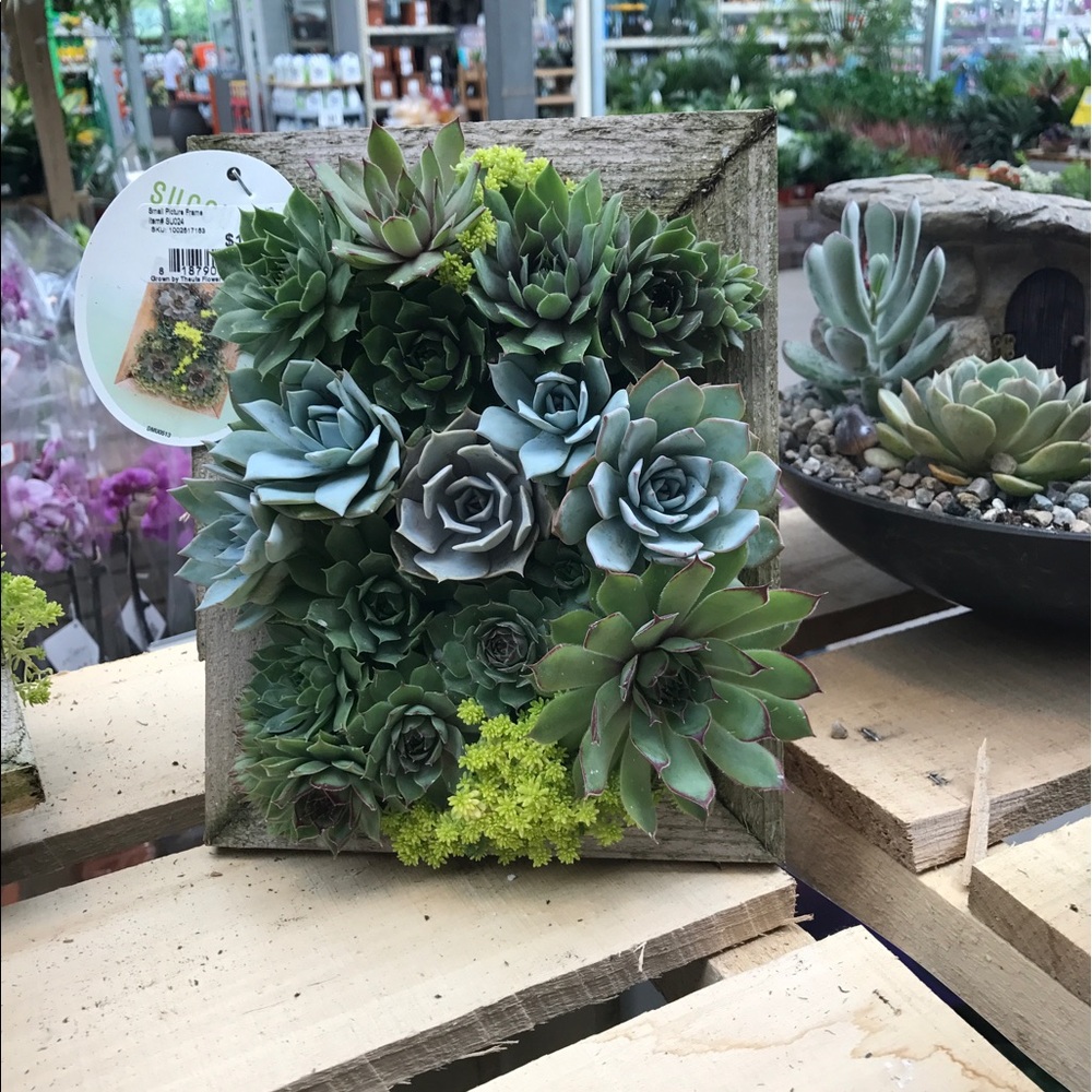 Meet your Posher, Edita