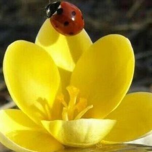 Meet your Posher, Marisol