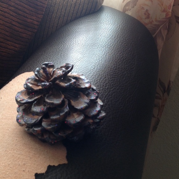 Acorns - Picture 1 of 1