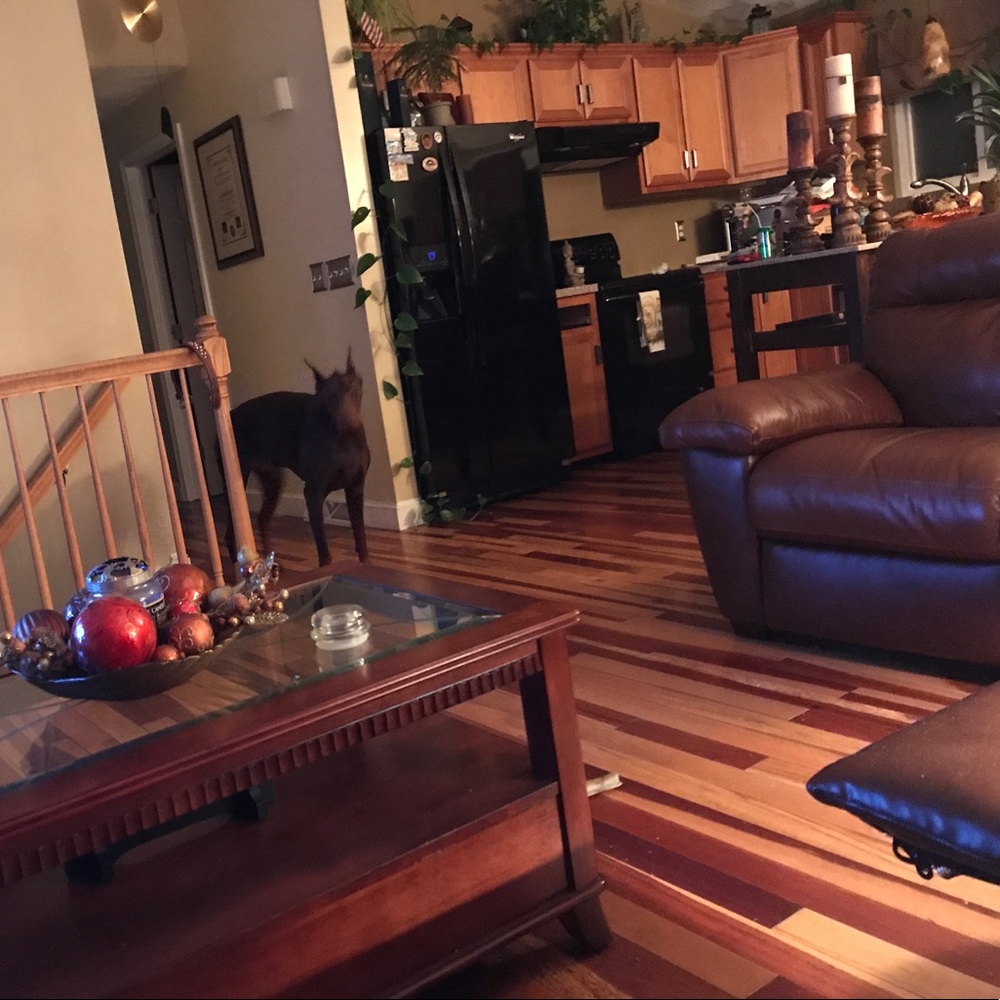 Meet your Posher, Donald