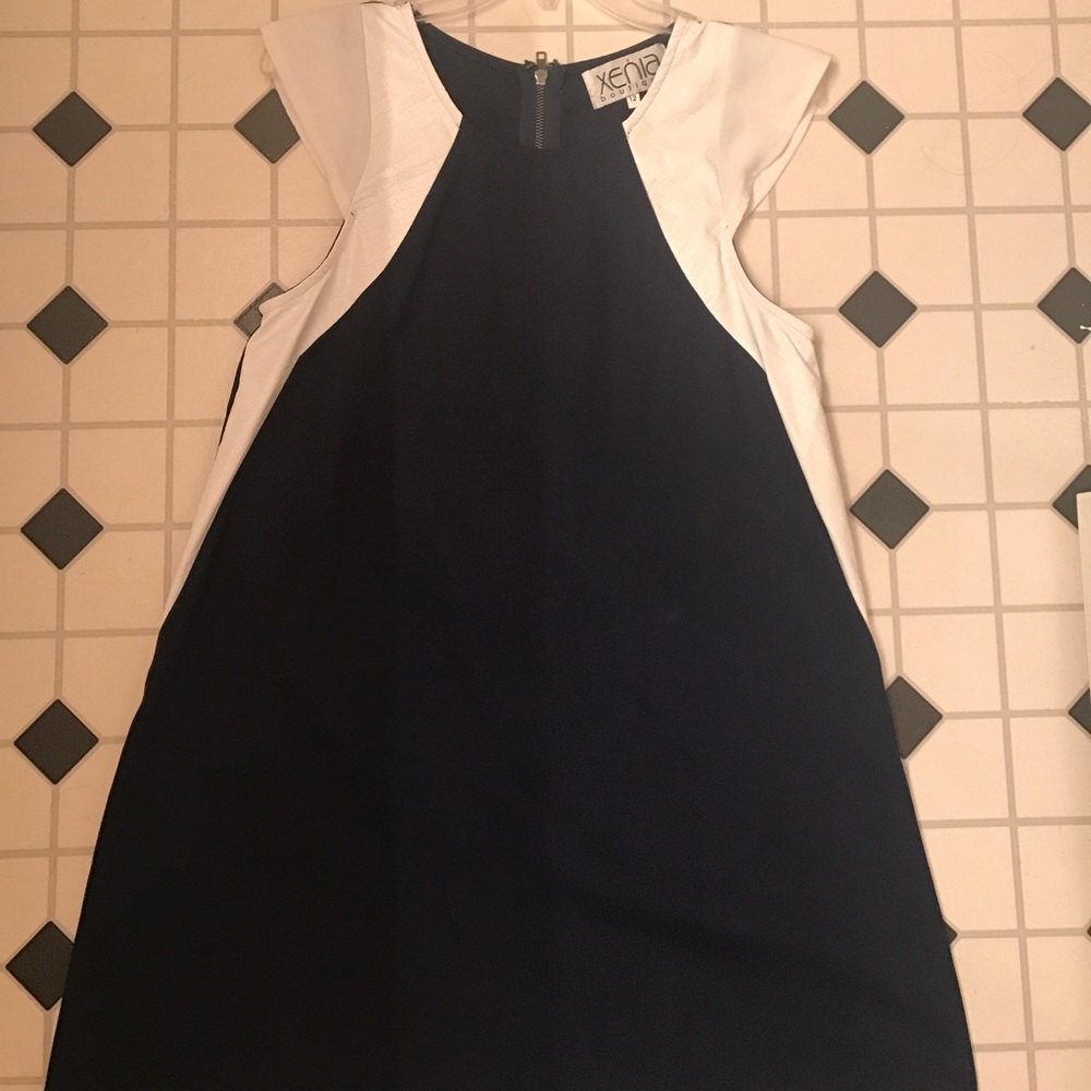 Xenia Navy Dress (WORN ONCE)