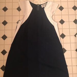 Xenia Navy Dress (WORN ONCE)