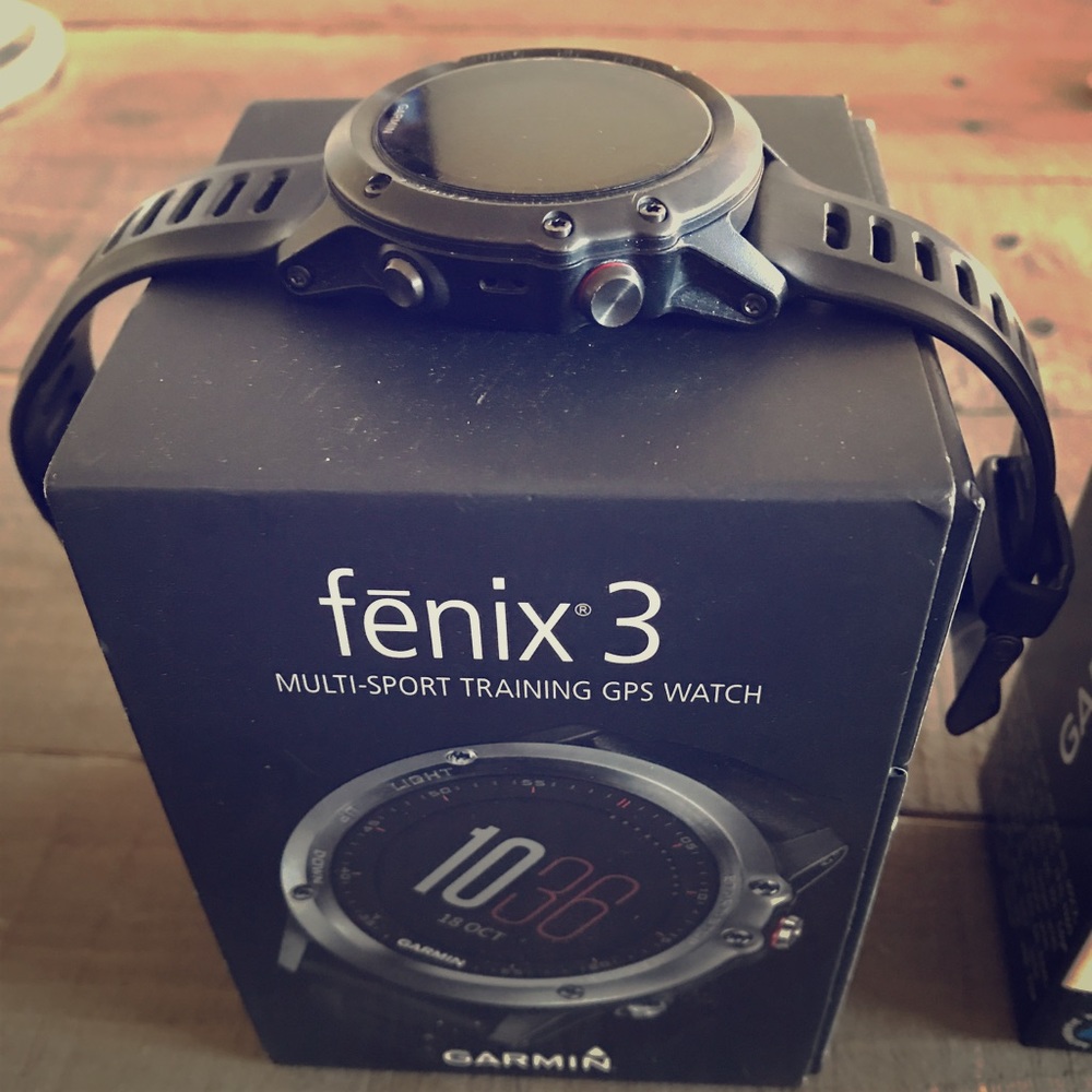 Fenix 3