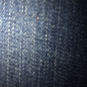 Meet your Posher, Bella