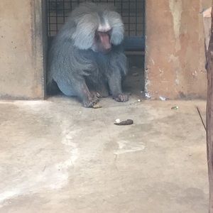 Meet your Posher, Britt