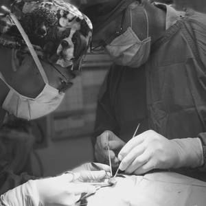 Meet your Posher, Jin