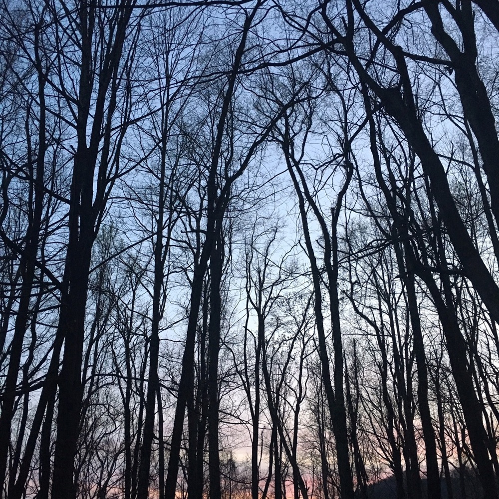 Meet your Posher, Gabi