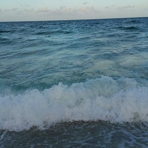 Meet your Posher, Judith